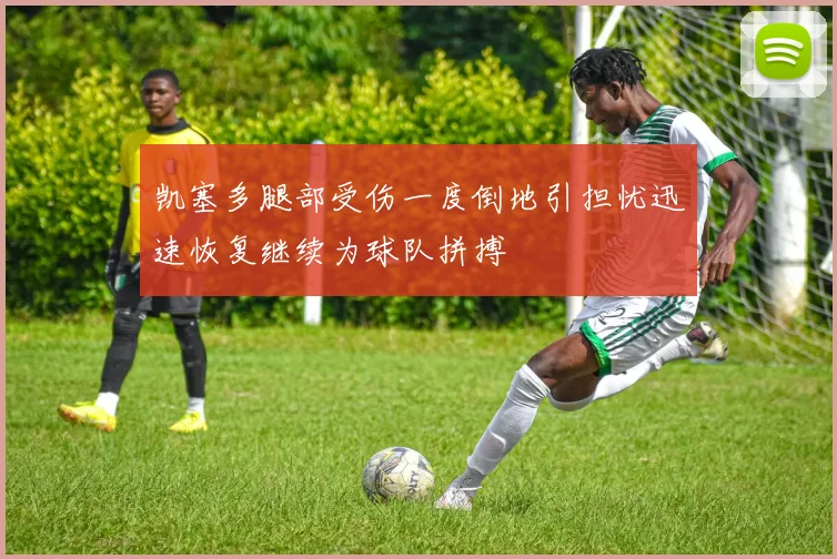 凯塞多腿部受伤一度倒地引担忧迅速恢复继续为球队拼搏