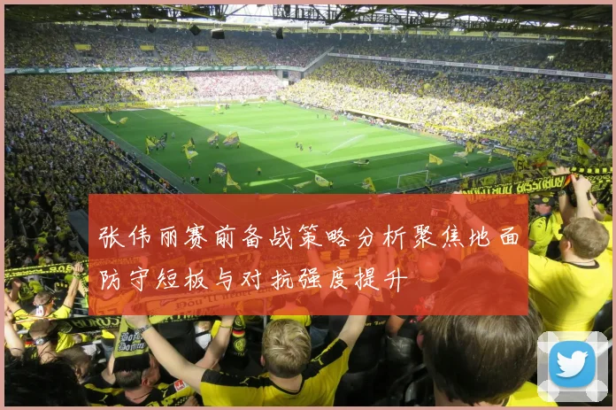张伟丽赛前备战策略分析聚焦地面防守短板与对抗强度提升